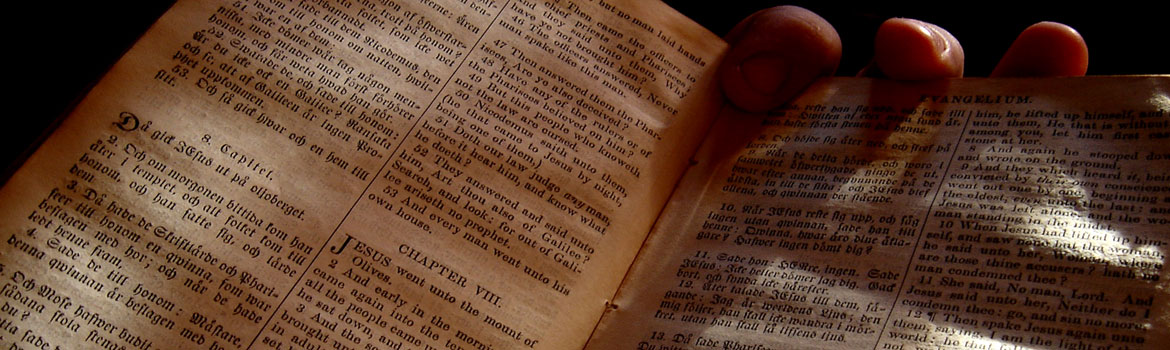 bible